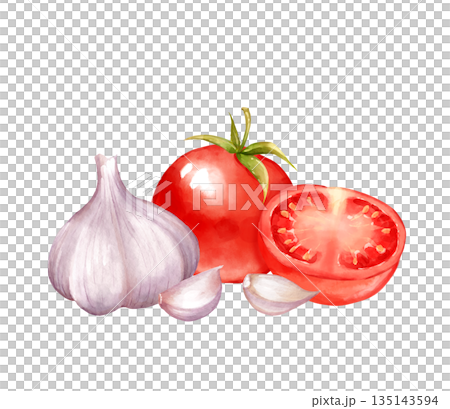 Hand-drawn illustration of tomato and garlic bulb with cloves. Design for restaurant menu header, recipe card or Italian food logo Hand-drawn illustration of tomato and garlic bulb with cloves. Design for restaurant menu header, recipe card or Italian food logo 135143594