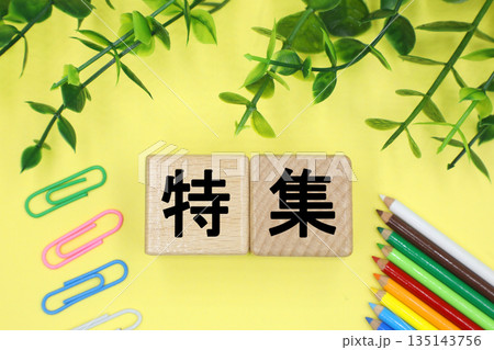 特集と書かれたブロック 特集と書かれたブロック 135143756