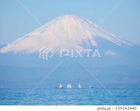 葉山公園から望む相模湾のヨットと冠雪の富士山 葉山公園から望む相模湾のヨットと冠雪の富士山 135143940