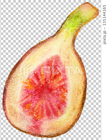 Fig cross section illustration oil pastel drawing Fig cross section illustration oil pastel drawing 135144165