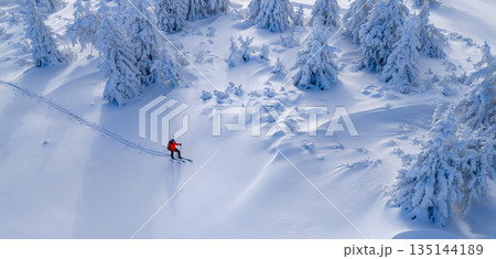 Ski mountaineer touring through a snow covered alpine forest in winter. Pristine landscape with frosted trees, deep snow, and soft winter light, expressing adventure, solitude, and freedom. 135144189