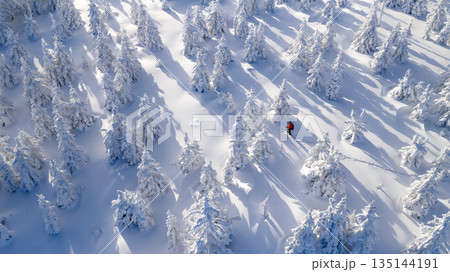 Ski mountaineer walking through a snow covered forest at sunrise. Golden light illuminates frosted trees, creating a peaceful winter adventure scene with strong sense of freedom and solitude. 135144191