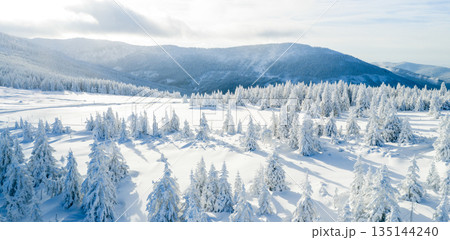 Bright winter landscape of the Krkonose Mountains in the Czech Republic with snow-covered evergreen trees, rolling hills, and pristine alpine meadows under soft winter light. Bright winter landscape of the Krkonose Mountains in the Czech Republic with snow-covered evergreen trees, rolling hills, and pristine alpine meadows under soft winter light. 135144240