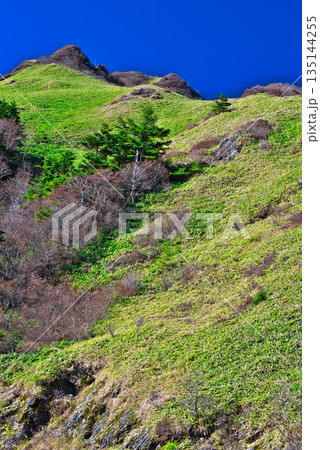 UFOラインから見る四国山脈 135144255