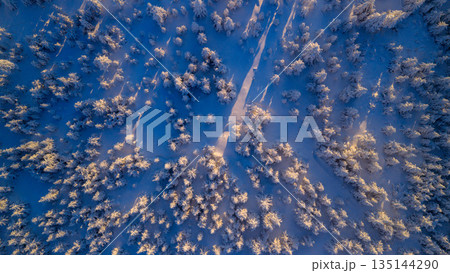 Top down aerial view of a snow covered evergreen forest in winter. Frosted pine trees form a natural abstract pattern, creating a serene, cold, and atmospheric winter landscape. Top down aerial view of a snow covered evergreen forest in winter. Frosted pine trees form a natural abstract pattern, creating a serene, cold, and atmospheric winter landscape. 135144290
