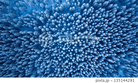Top down aerial view of a snow covered evergreen forest in winter. Frosted pine trees form a natural abstract pattern, creating a serene, cold, and atmospheric winter landscape. 135144291