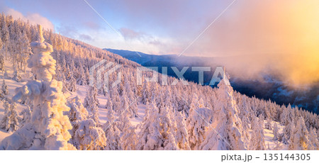Winter panorama of the Krkonose Mountains in the Czech Republic with snow-covered forests, rolling hills, and low clouds at sunrise. Peaceful alpine landscape with soft pastel sky and mist. 135144305