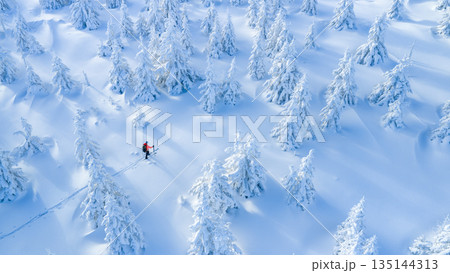 Ski mountaineer touring through a snow covered alpine forest in winter. Pristine landscape with frosted trees, deep snow, and soft winter light, expressing adventure, solitude, and freedom. 135144313