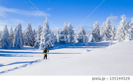 Snowshoe hiker walking through a wide snow covered winter landscape with frosted evergreen trees under a clear blue sky. Peaceful alpine scenery expressing solitude, freedom, and untouched nature. 135144329