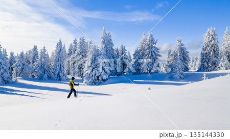 Snowshoe hiker walking through a wide snow covered winter landscape with frosted evergreen trees under a clear blue sky. Peaceful alpine scenery expressing solitude, freedom, and untouched nature. 135144330