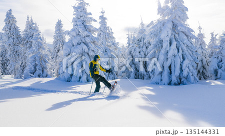 Young man snowshoe hiking through deep fresh snow in a winter forest. Dynamic movement in a frost covered landscape, capturing adventure, freedom, and active outdoor lifestyle. 135144331