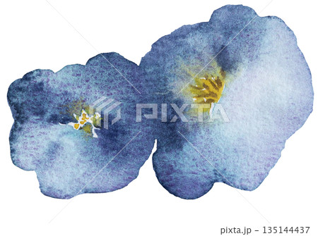 Watercolor blue wild flower isolated illustration, floral wedding and greeting element Watercolor blue wild flower isolated illustration, floral wedding and greeting element 135144437