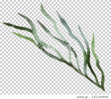 Watercolor twig with light green leaves isolated illustration, pastel wedding stationery element 135144440