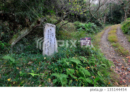 山の辺の道 月待ちて 嶺こへけりと 聞くままに あはれよふかき はつかりの声 十市 遠忠の句碑 山の辺の道 月待ちて 嶺こへけりと 聞くままに あはれよふかき はつかりの声 十市 遠忠の句碑 135144454