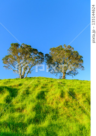 ニュージーランドのオークランドにあるマウントビクトリアの美しい風景 135144624