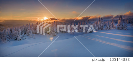 Beautiful Winter Mountain Panorama Sunset with Snowy Spruce Trees and Peaks in the Background Beautiful Winter Mountain Panorama Sunset with Snowy Spruce Trees and Peaks in the Background 135144888
