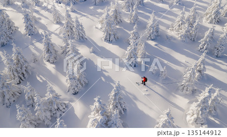 Beautiful Winter Mountain Panorama with Snowy Spruce Trees and Peaks in the Background 135144912