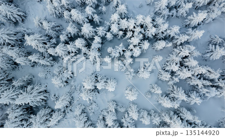 Beautiful Winter Forest Mountain Scenery with Snowy Trees , Top Down View 135144920