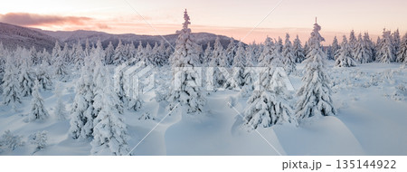Beautiful Winter Mountain Panorama with Snowy Spruce Trees and Peaks in the Background Beautiful Winter Mountain Panorama with Snowy Spruce Trees and Peaks in the Background 135144922