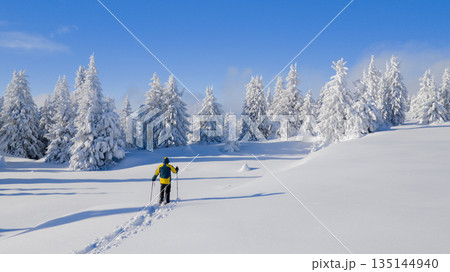Beautiful Winter Mountain Scenery with Man on Snowshoes , Aerial 135144940