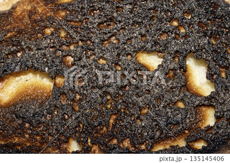 A Close Up of a Toasted Home Made Bread Slice Toast Showing Texture 135145406