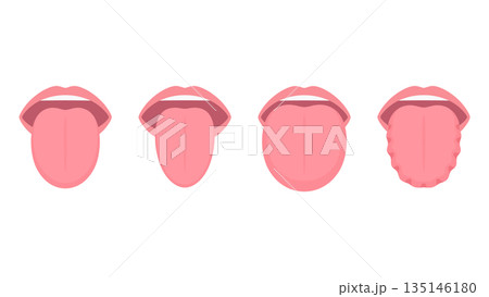 舌の大きさと形のイラスト 舌の大きさと形のイラスト 135146180