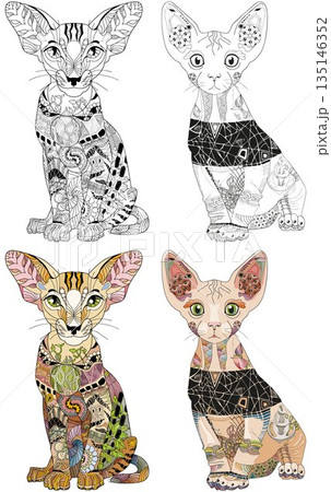 Set of stylized cats for coloring book. Hand Drawn lace vector illustration 135146352