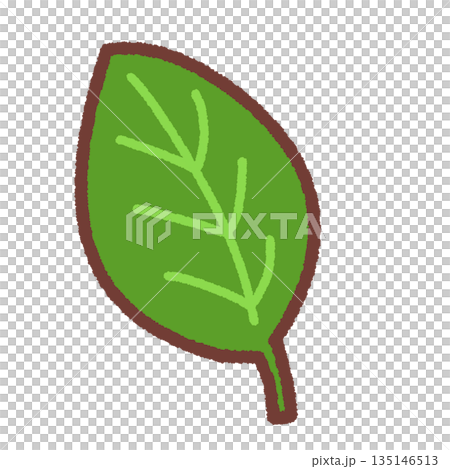 simple leaf illustration 135146513