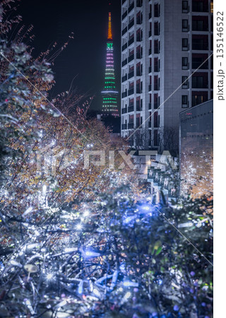 《東京》六本木 イルミネーション 《東京》六本木 イルミネーション 135146522