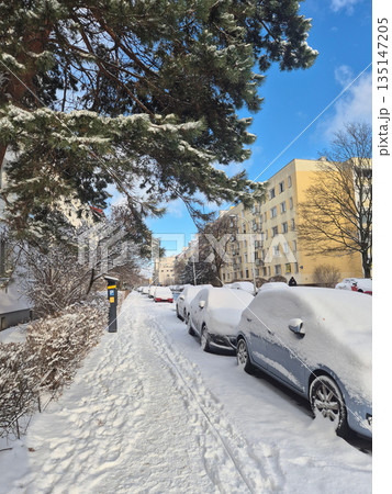 Heavy Snow-Covered City Street with Buried Parked Cars on a Sunny Winter Day 135147205