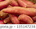 収穫したサツマイモ 135147238