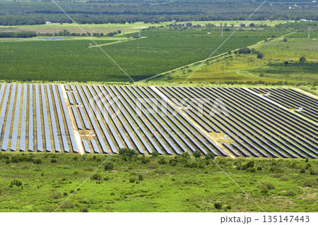 Aerial view of sustainable electric power plant between agricultural farm fields with solar photovoltaic panels for producing clean electrical energy. Renewable electricity with zero emission concept 135147443