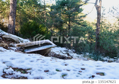 Snowy Forest Scene With A Weathered Water Trough In A Quiet Mountain Wood Snowy Forest Scene With A Weathered Water Trough In A Quiet Mountain Wood 135147621