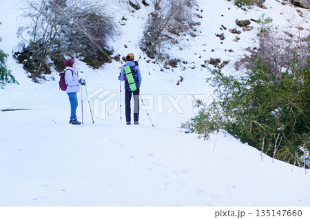 Two Hikers Trekking Through Snowy Trail With Backpacks And Trek Poles In Winter Landscape 135147660
