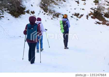 Group Of Winter Hikers Trekking Through Snow With Backpacks, Trek Poles, And Snowy Trail Group Of Winter Hikers Trekking Through Snow With Backpacks, Trek Poles, And Snowy Trail 135147664