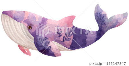 whale 135147847