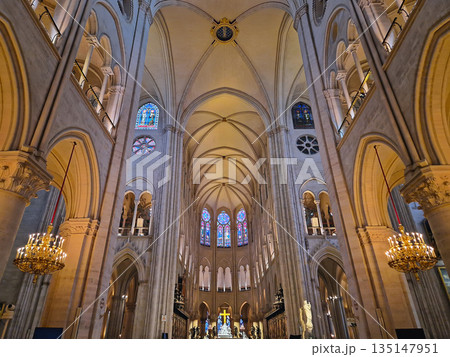 Paris, France - December 10, 2025: Interior of Notre-Dame Cathedral after restoration. View looking up to the soaring vaulted ceiling. Golden chandeliers and stained glass windows line the nave Paris, France - December 10, 2025: Interior of Notre-Dame Cathedral after restoration. View looking up to the soaring vaulted ceiling. Golden chandeliers and stained glass windows line the nave 135147951