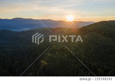 Aerial view of amazing scenery with dark mountain hills covered with forest pine trees at autumn sunrise. Beautiful wild woodland at dawn 135148141