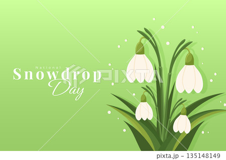 National snowdrop day poster with white flowers on green background vector illustration. National snowdrop day poster with white flowers on green background vector illustration. 135148149