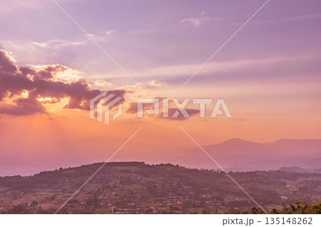 Kenya Landscapes Fields Meadows Plants Vegetation Maasai Mara National Game Reserve Park Kenya Landscapes Fields Meadows Plants Vegetation Maasai Mara National Game Reserve Park 135148262