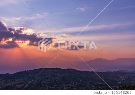 Kenya Landscapes Fields Meadows Plants Vegetation Maasai Mara National Game Reserve Park Kenya Landscapes Fields Meadows Plants Vegetation Maasai Mara National Game Reserve Park 135148263