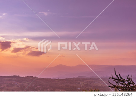 Kenya Landscapes Fields Meadows Plants Vegetation Maasai Mara National Game Reserve Park Kenya Landscapes Fields Meadows Plants Vegetation Maasai Mara National Game Reserve Park 135148264