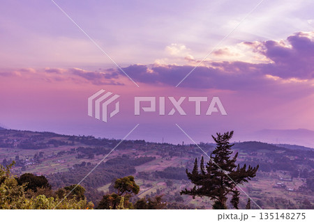 Kenya Landscapes Fields Meadows Plants Vegetation Maasai Mara National Game Reserve Park 135148275