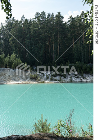 View of the blue turquoise river or lake with coniferous wooded banks, beautiful landscape with bright water vertical 135148343