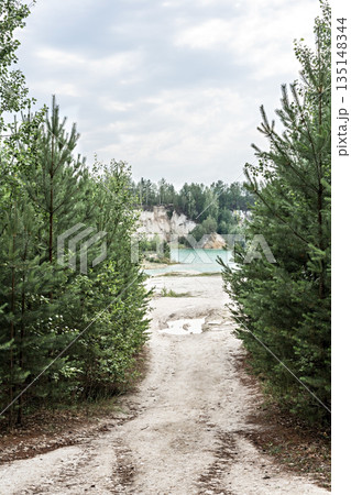 View of a narrow sandy path to the blue water of a lake or river between two pines or firs summer landscape beauty in nature 135148344