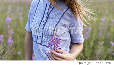 Young blond woman in purple shirt walking in meadow among flowers of fireweed and touching flower 135148360