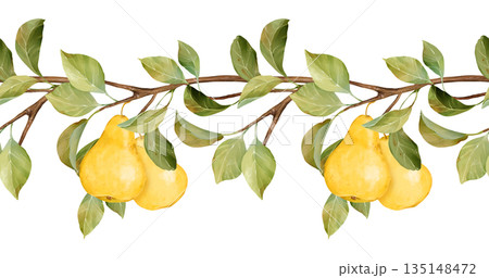 Hand-drawn illustration of a seamless horizontal border with yellow pears hanging from a leafy brown branch. This natural design is perfect for autumn themes, food packaging, and decorative elements 135148472