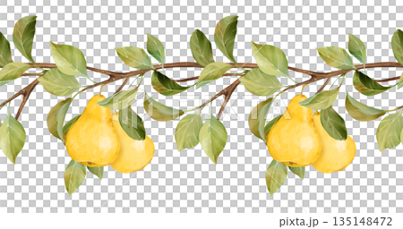 Hand-drawn illustration of a seamless horizontal border with yellow pears hanging from a leafy brown branch. This natural design is perfect for autumn themes, food packaging, and decorative elements 135148472