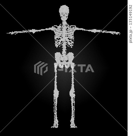 Human skeleton anatomy concept mosaic design on black Human skeleton anatomy concept mosaic design on black 135149192