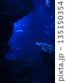 深海風景 135150354